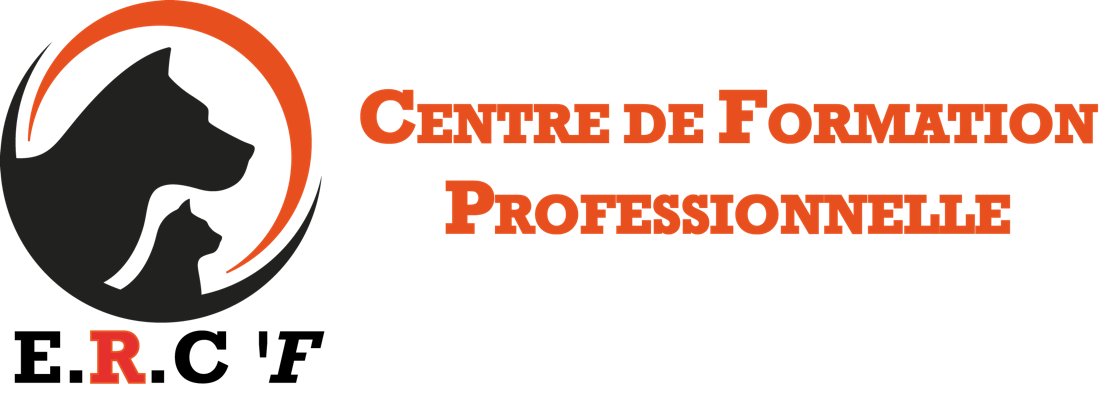 formation comportementaliste aix en provence