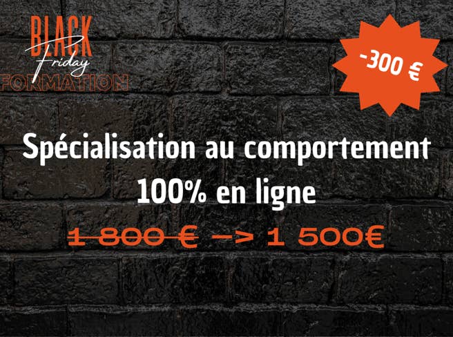 formation médiation zoothérapie animale