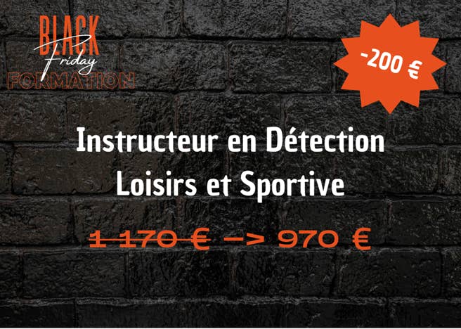 formation petsitter pension chien chat