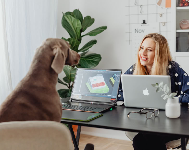 permis détention chien catégorie