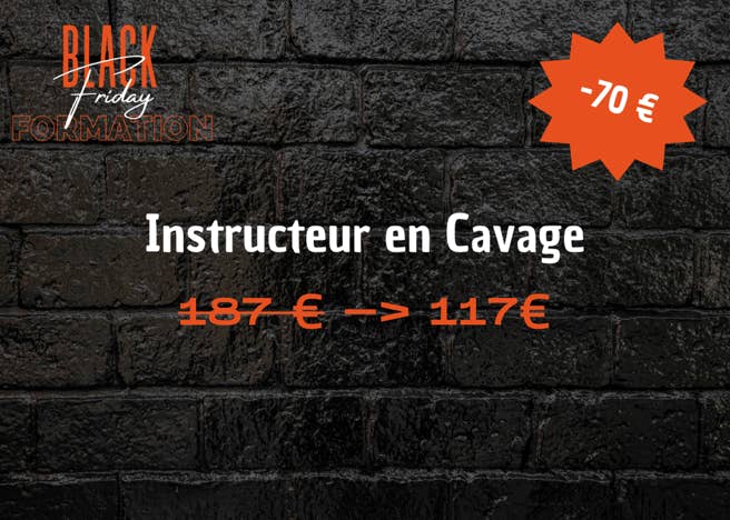 formation comportementaliste félin